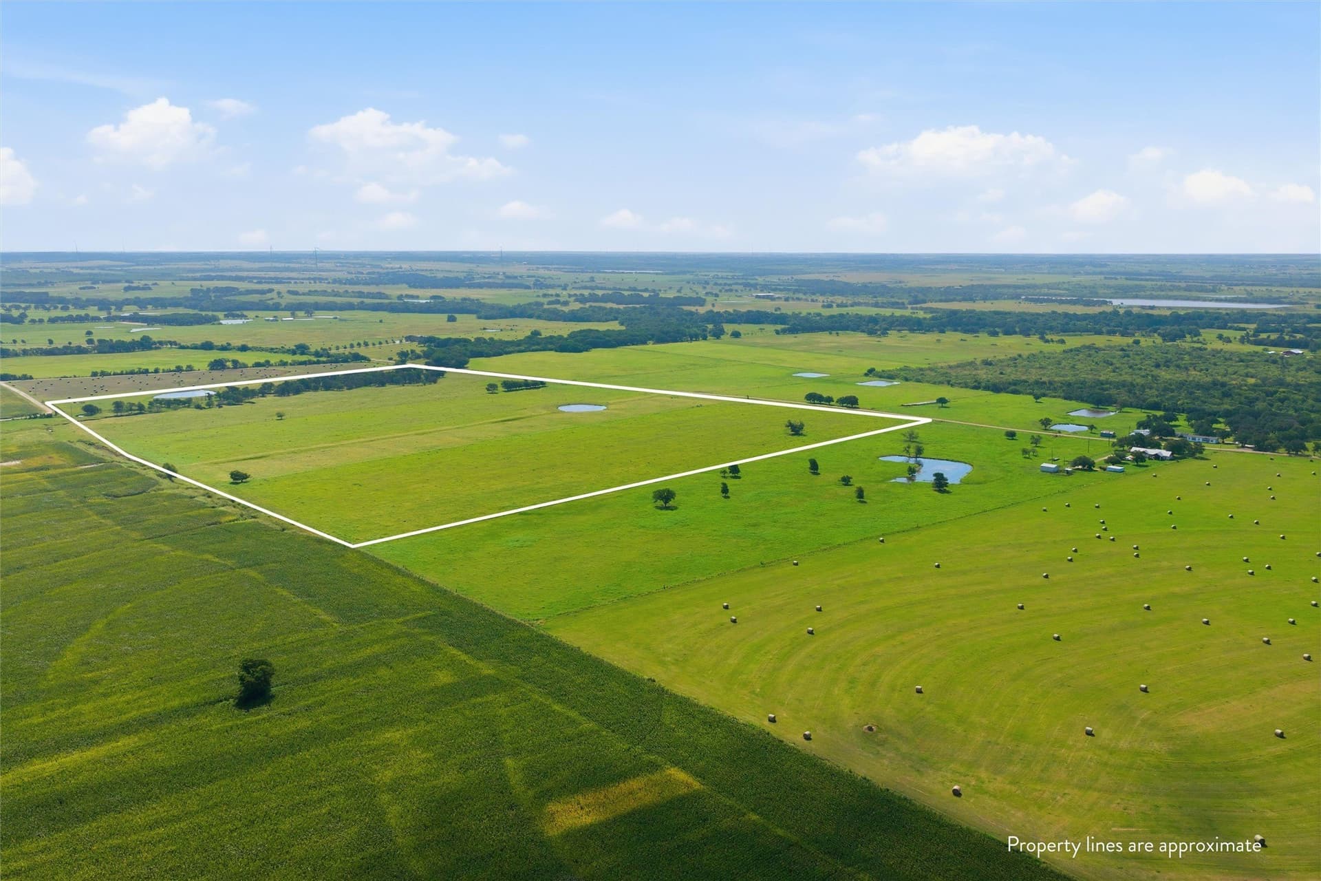 431 acres in McLennan County - photo 3