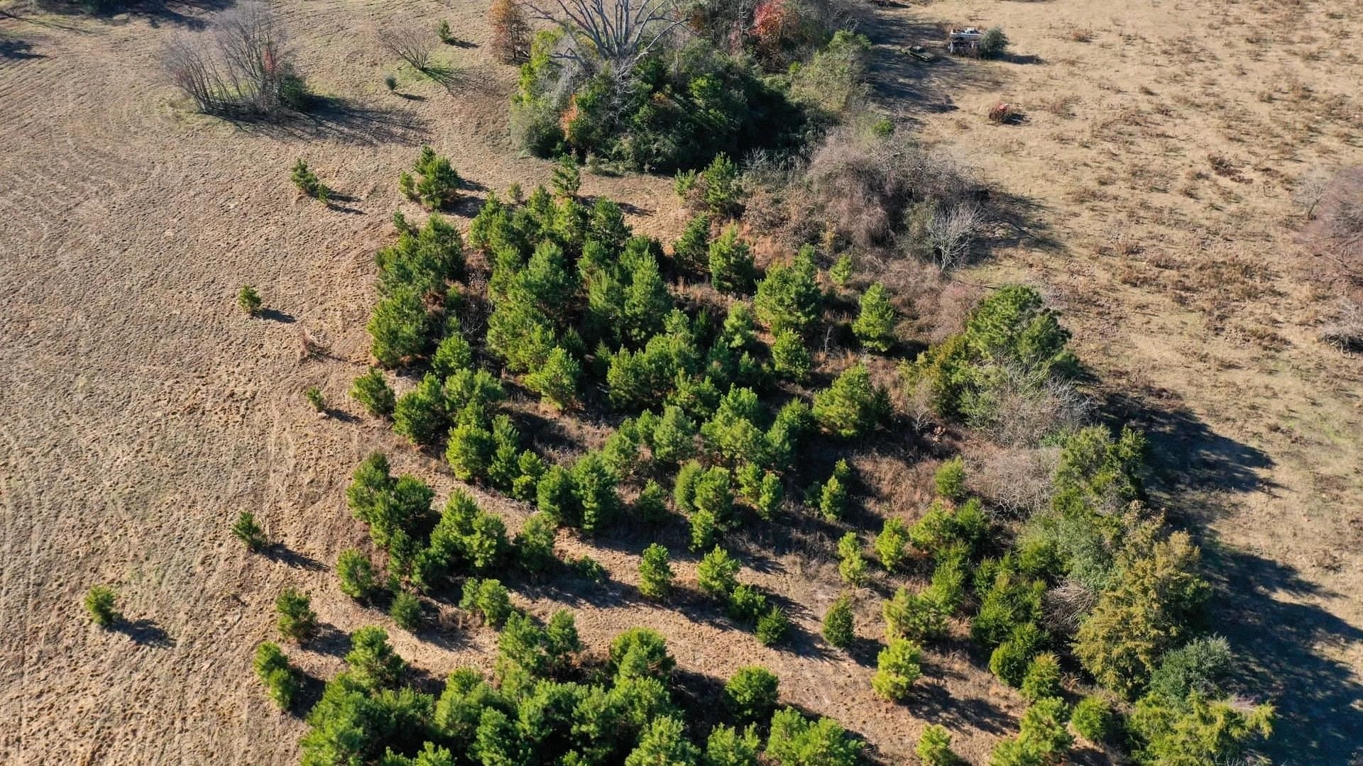 13.48 acres in Cass County featured view