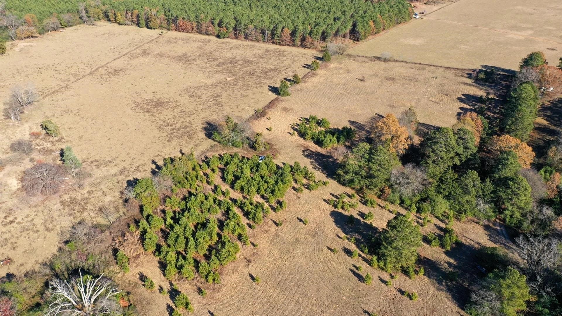 13.48 acres in Cass County gallery image 2