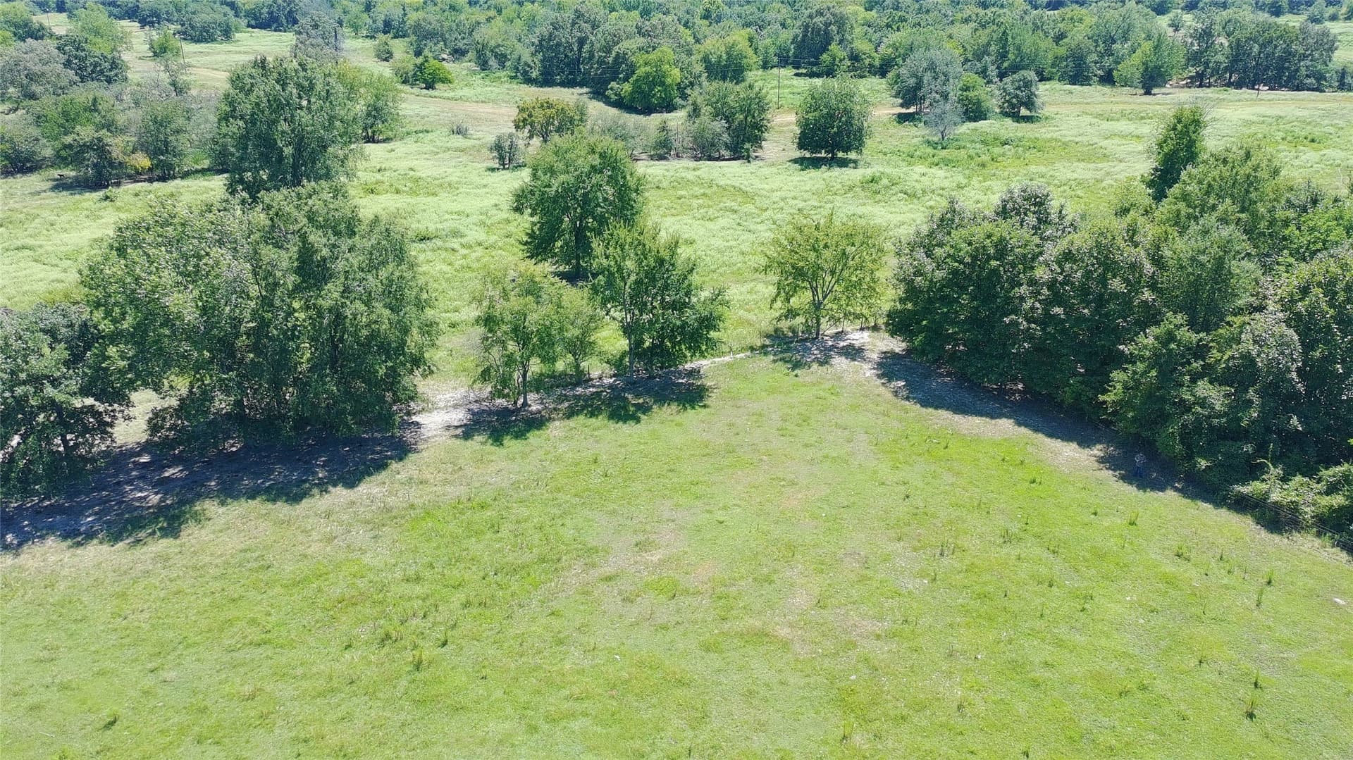 9.73 acres in Titus County - photo 6