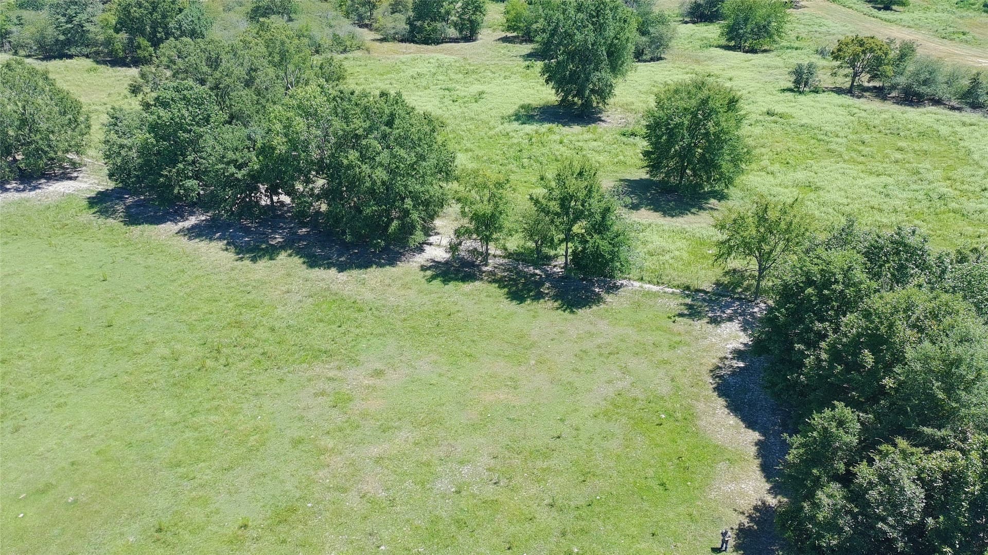 9.73 acres in Titus County - photo 9