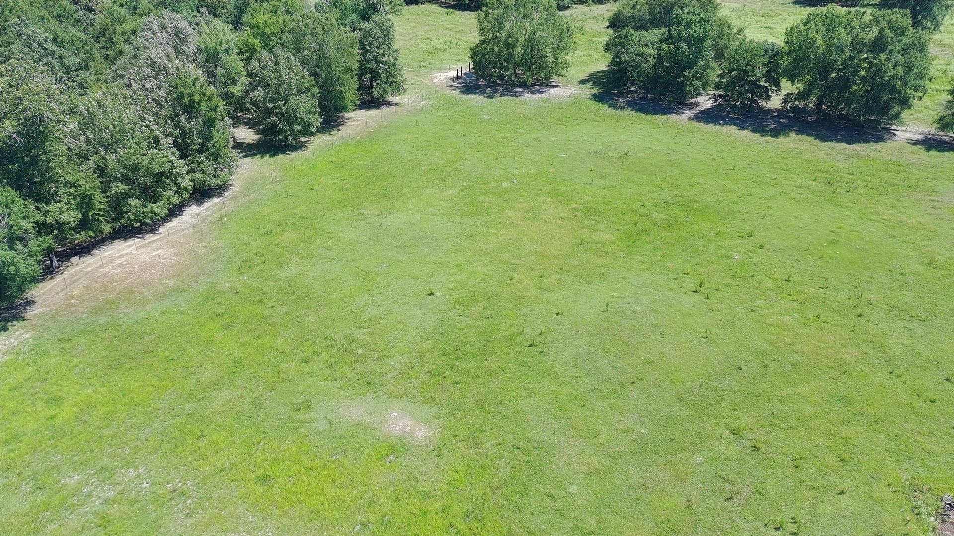 9.73 acres in Titus County - photo 13
