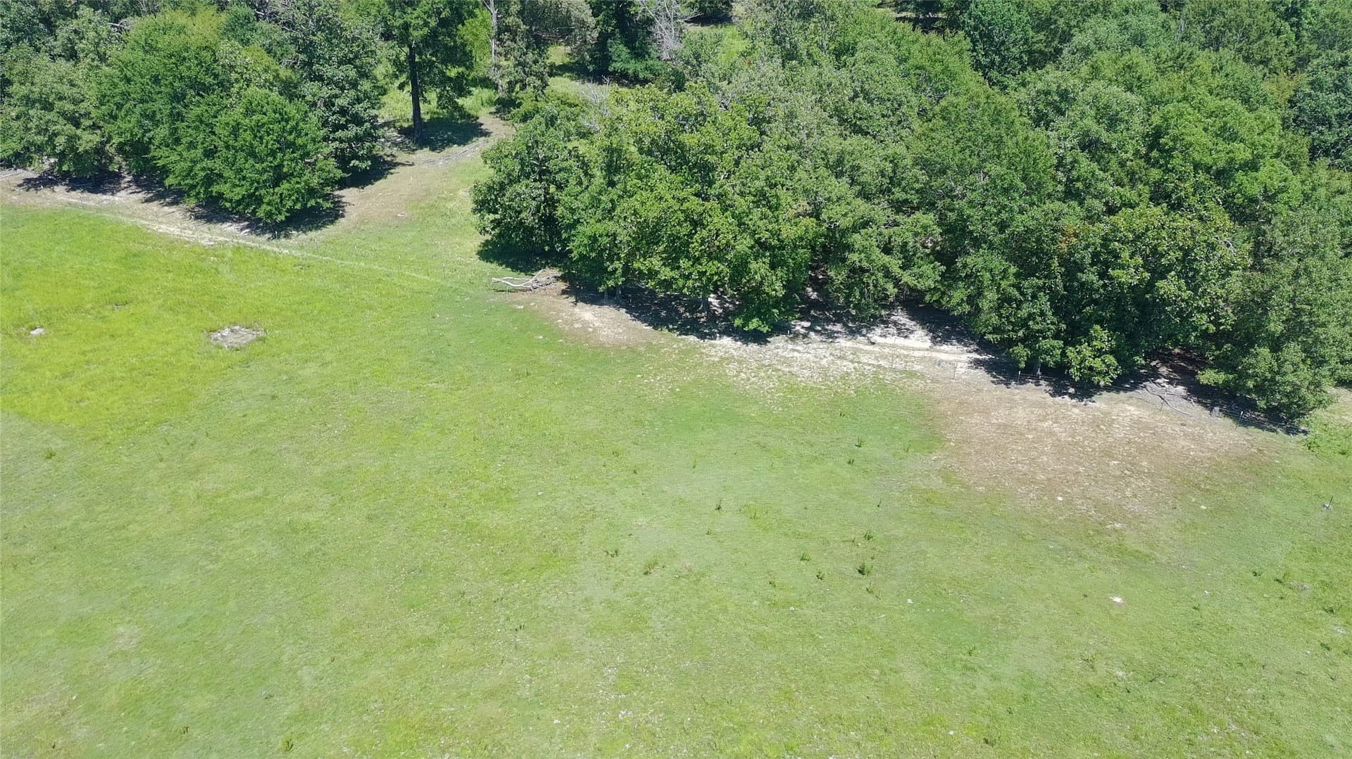 9.73 acres in Titus County - photo 12