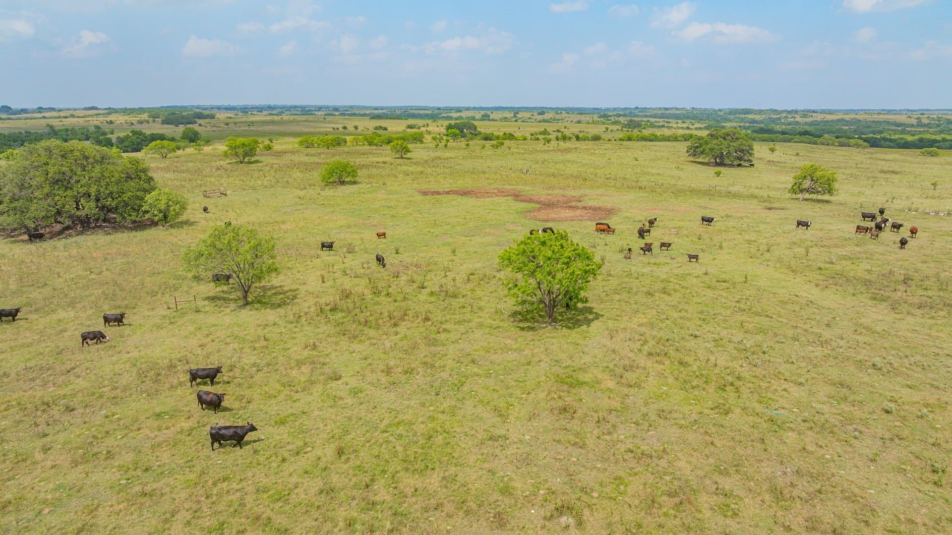 207 acres in Comanche County - photo 36