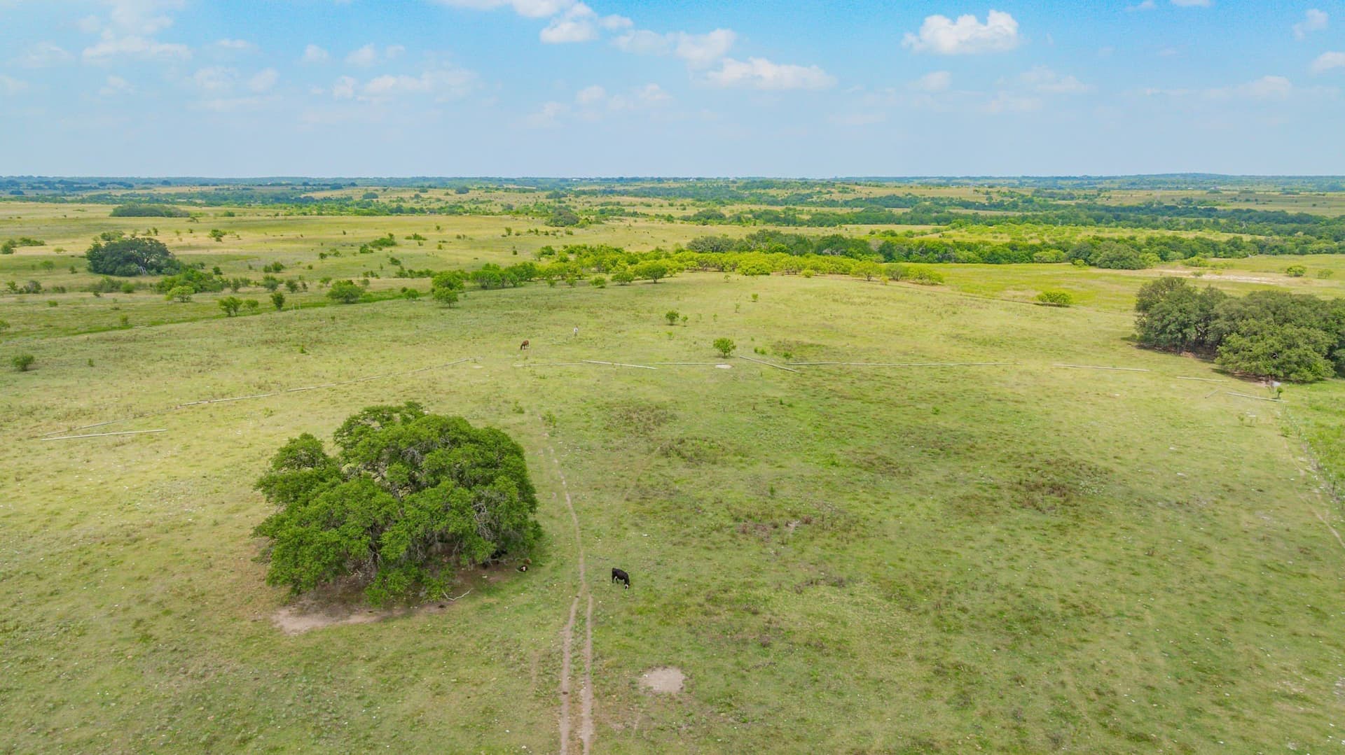 207 acres in Comanche County - photo 35