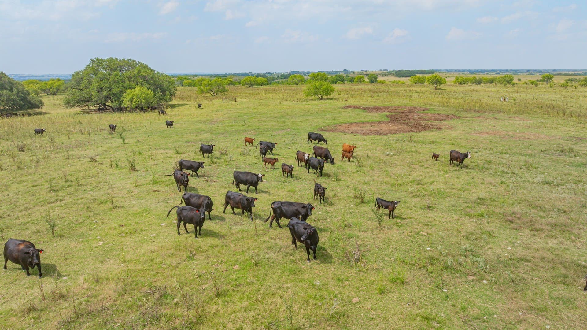207 acres in Comanche County - photo 4