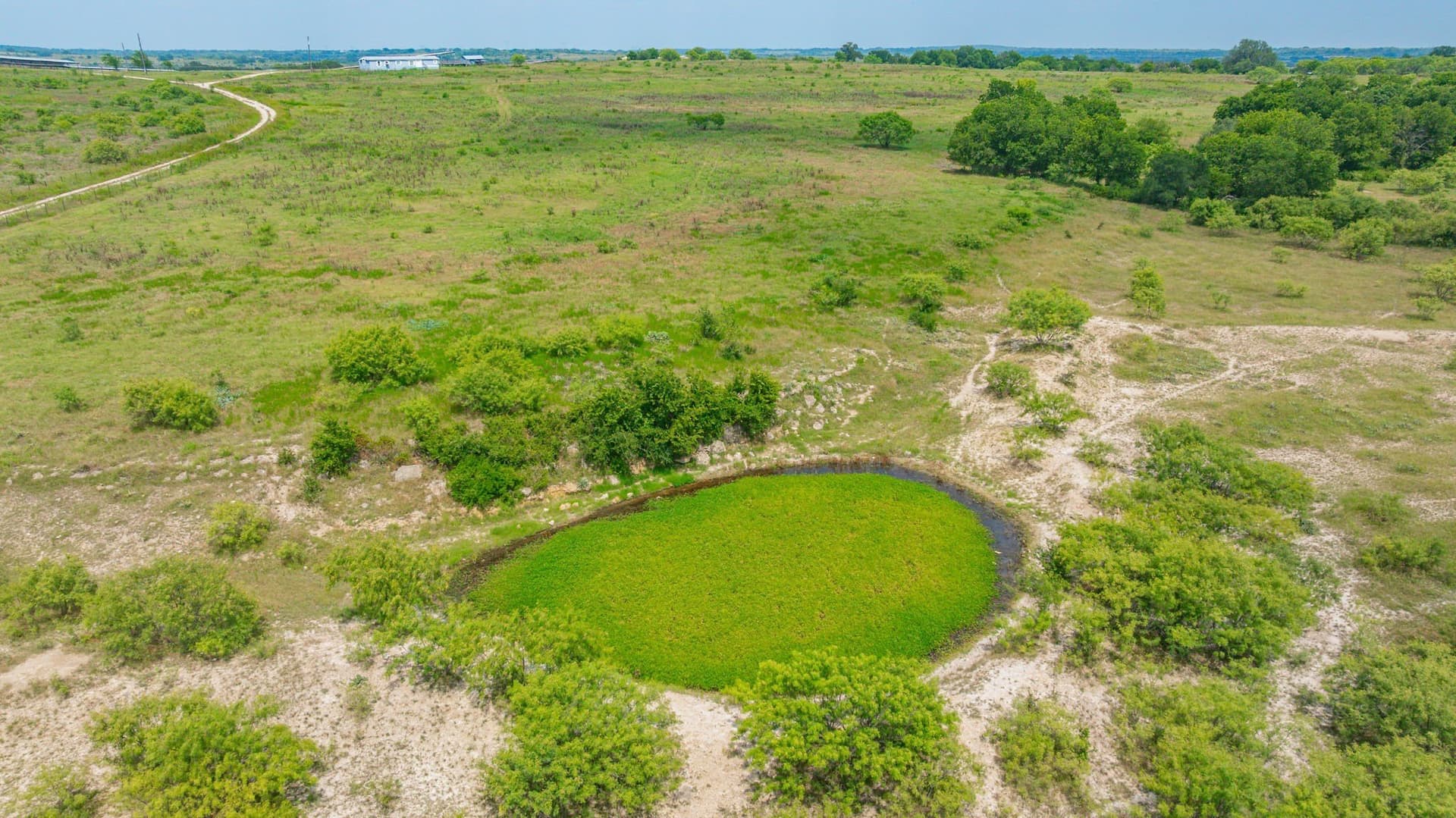 207 acres in Comanche County - photo 14