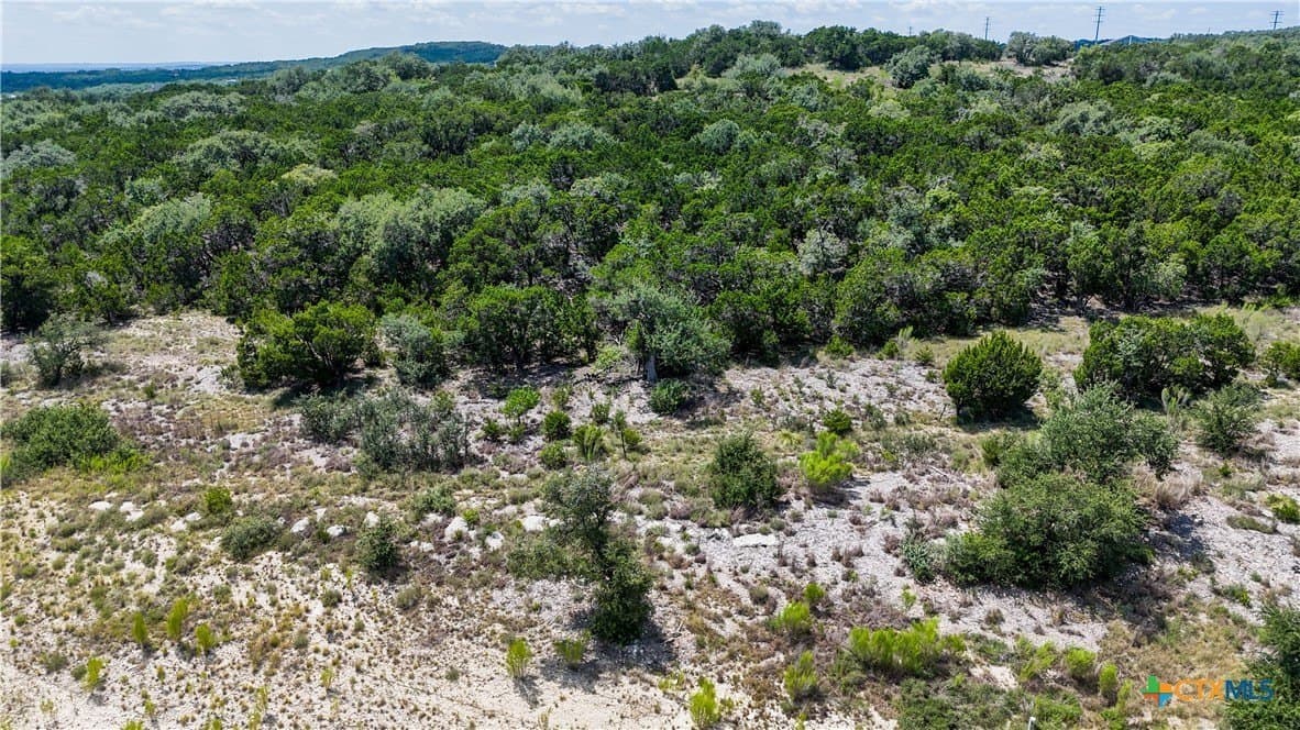 5.01 acres in Comal County - photo 17