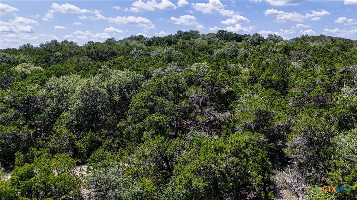 5.01 acres in Comal County - photo 20