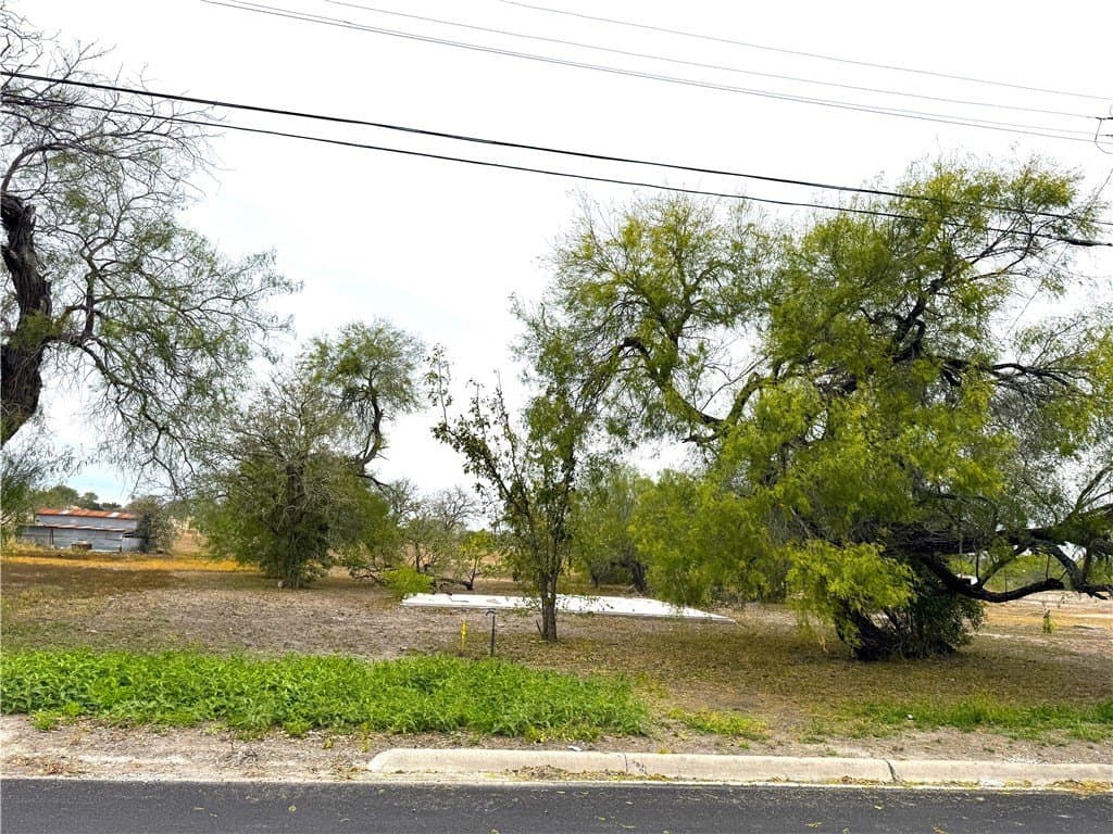 0.23 acres in Kleberg County gallery image 2