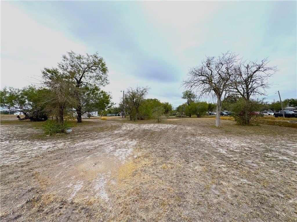 0.23 acres in Kleberg County gallery image 4