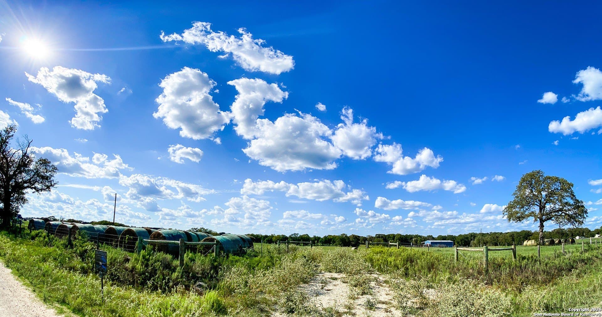 10.01 acres in Leon County gallery image 3
