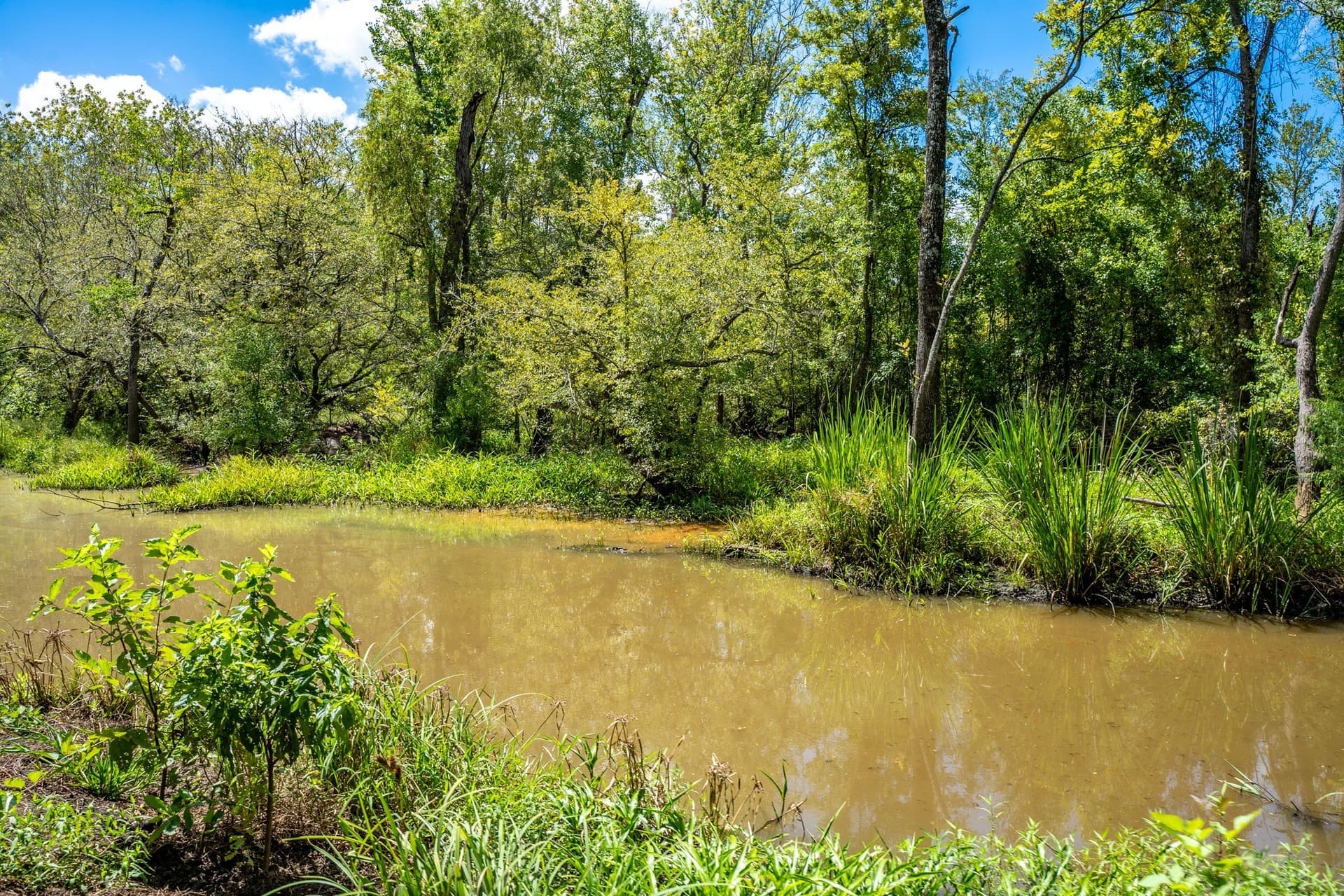 146.5 acres in Leon County - photo 22