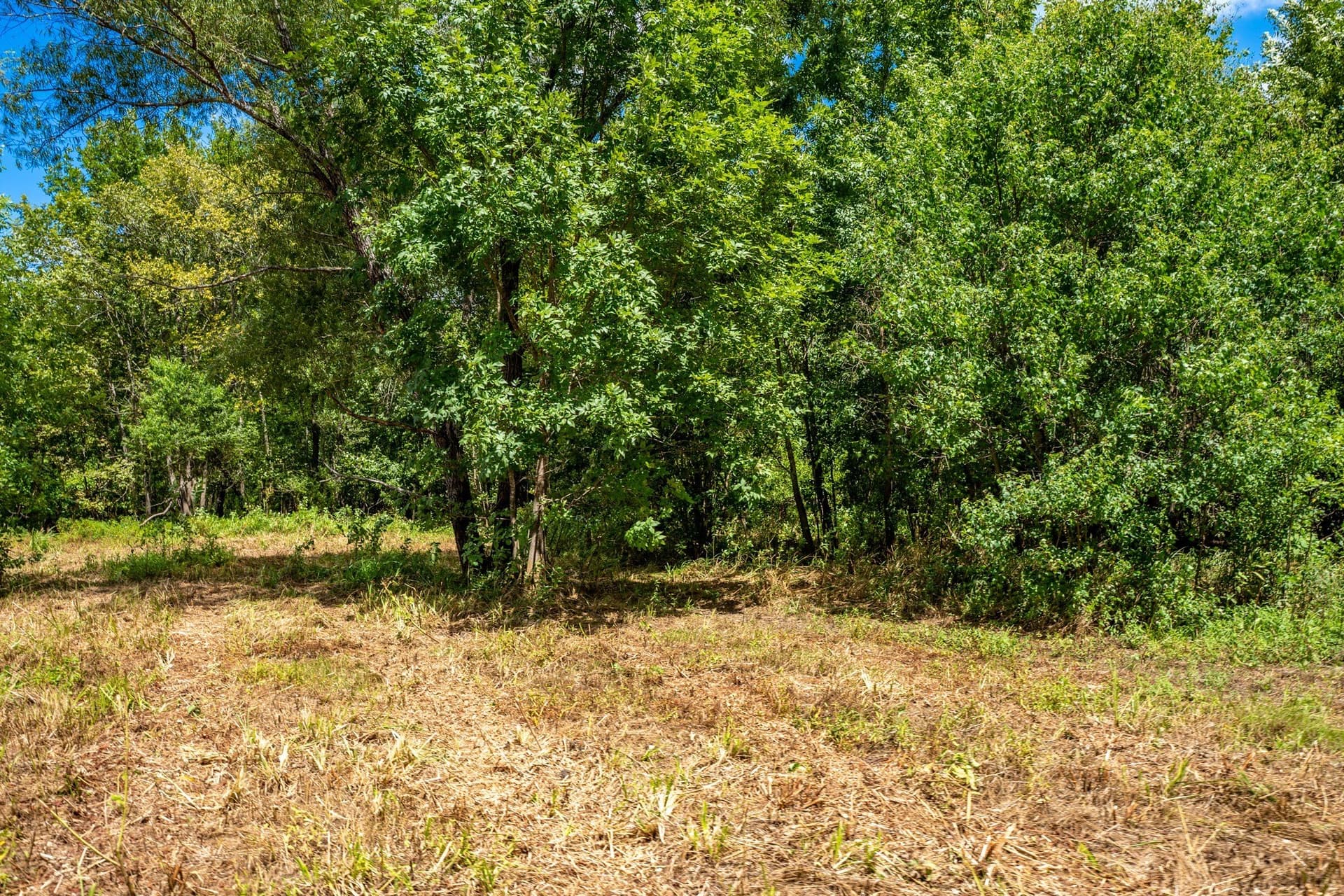 146.5 acres in Leon County - photo 27