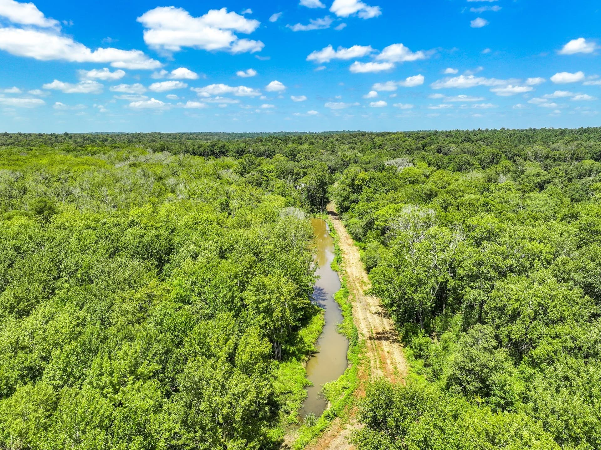 146.5 acres in Leon County - photo 15