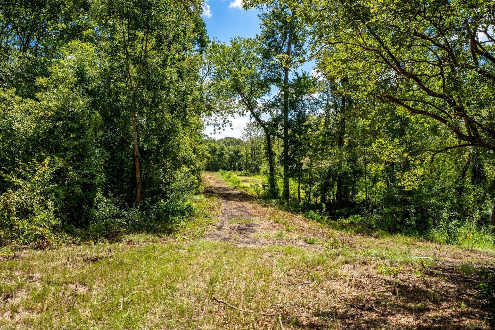 146.5 acres in Leon County - photo 4