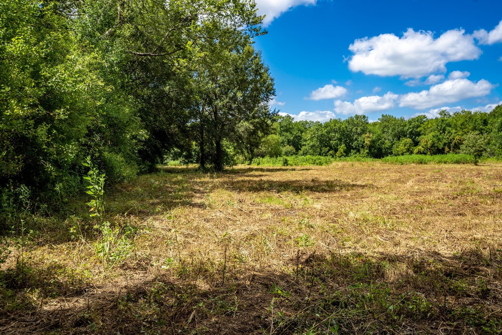 146.5 acres in Leon County - photo 26