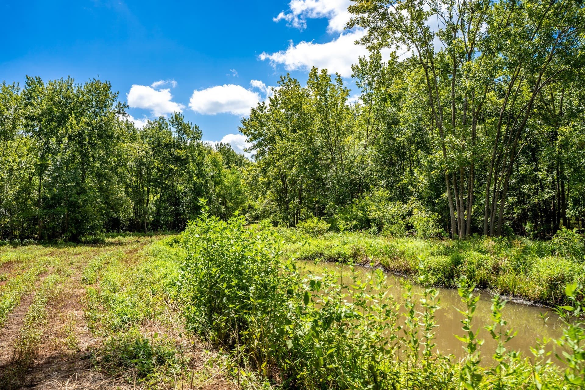 146.5 acres in Leon County - photo 23