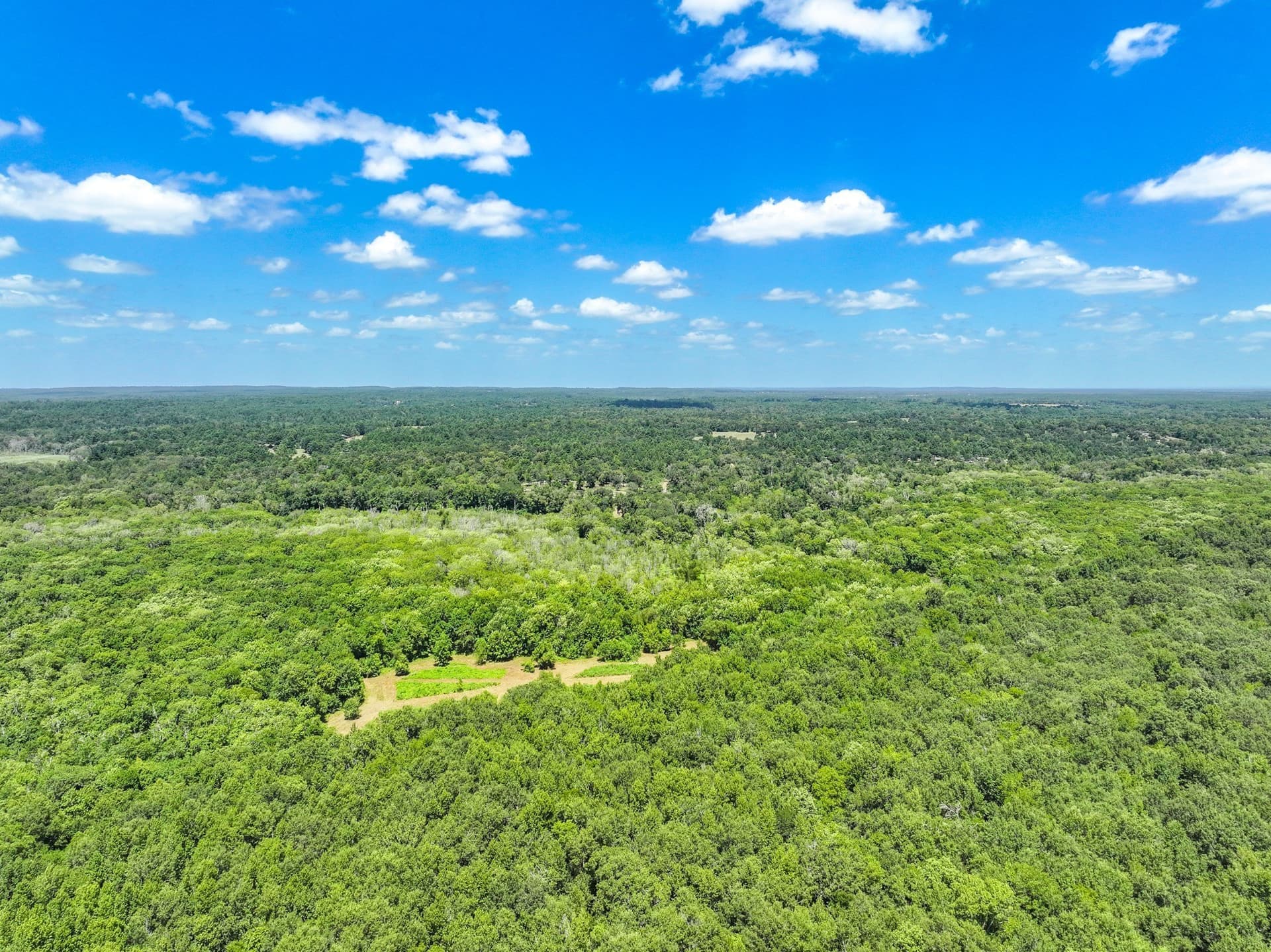 146.5 acres in Leon County - photo 19
