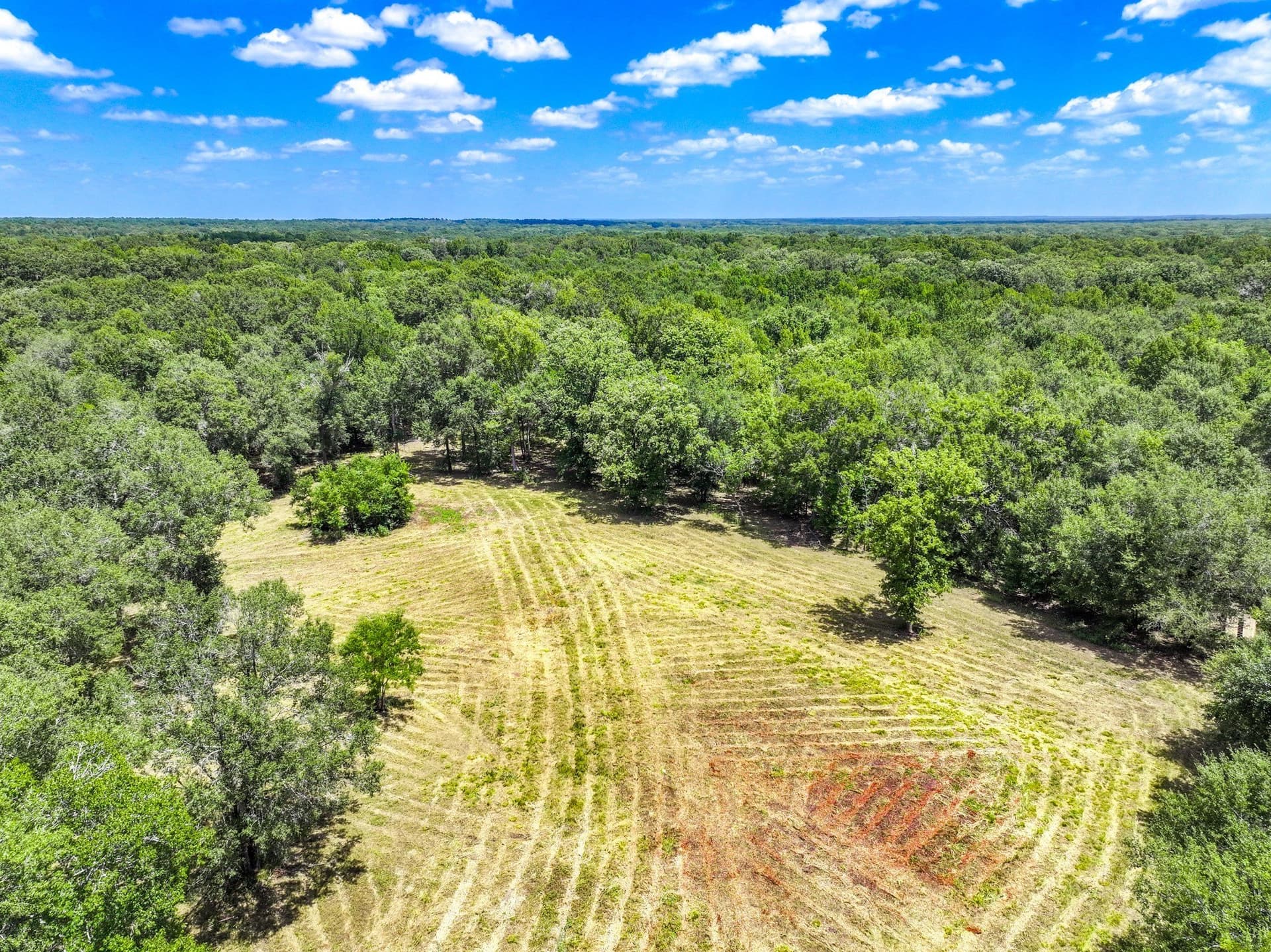 146.5 acres in Leon County - photo 34