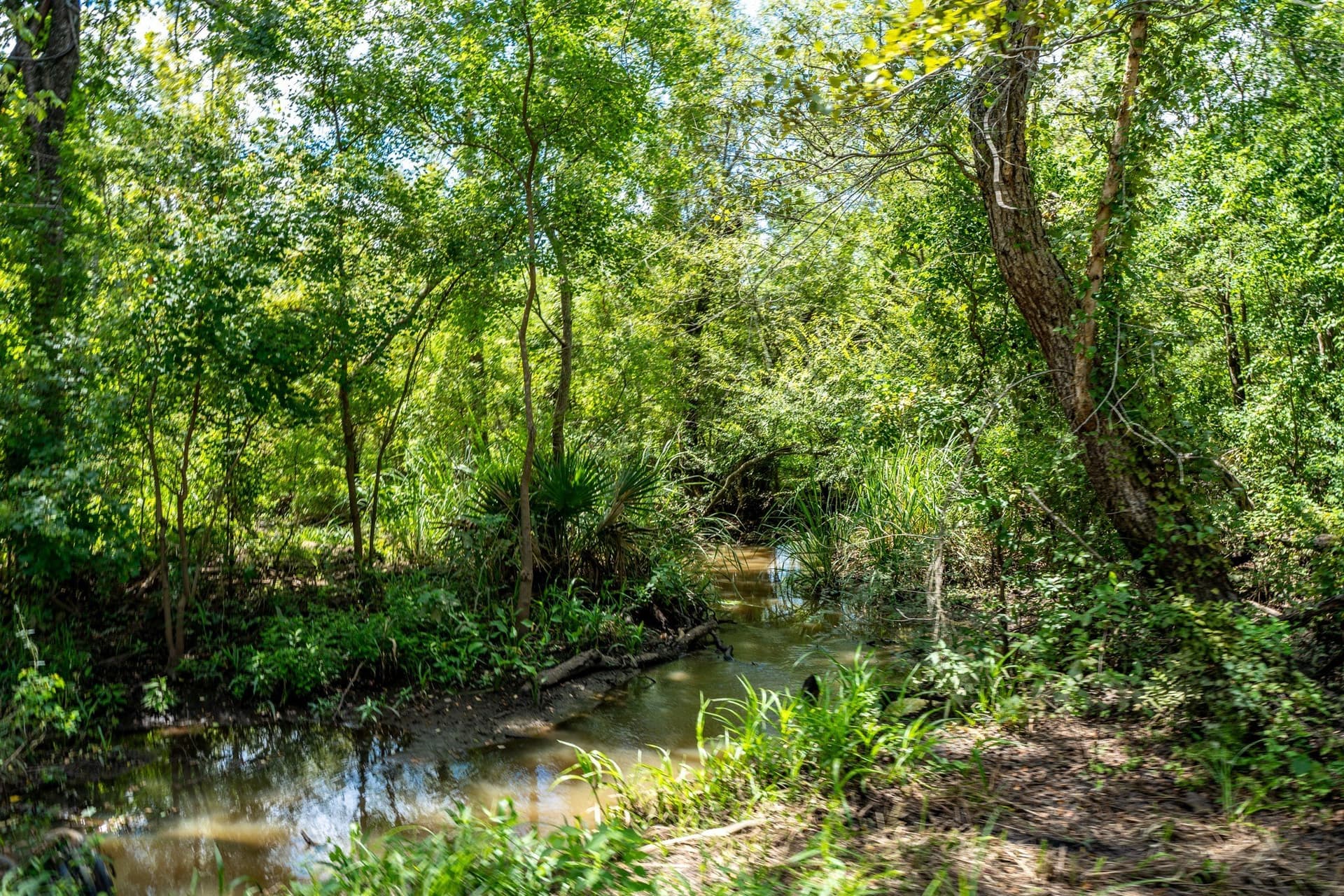 146.5 acres in Leon County - photo 21