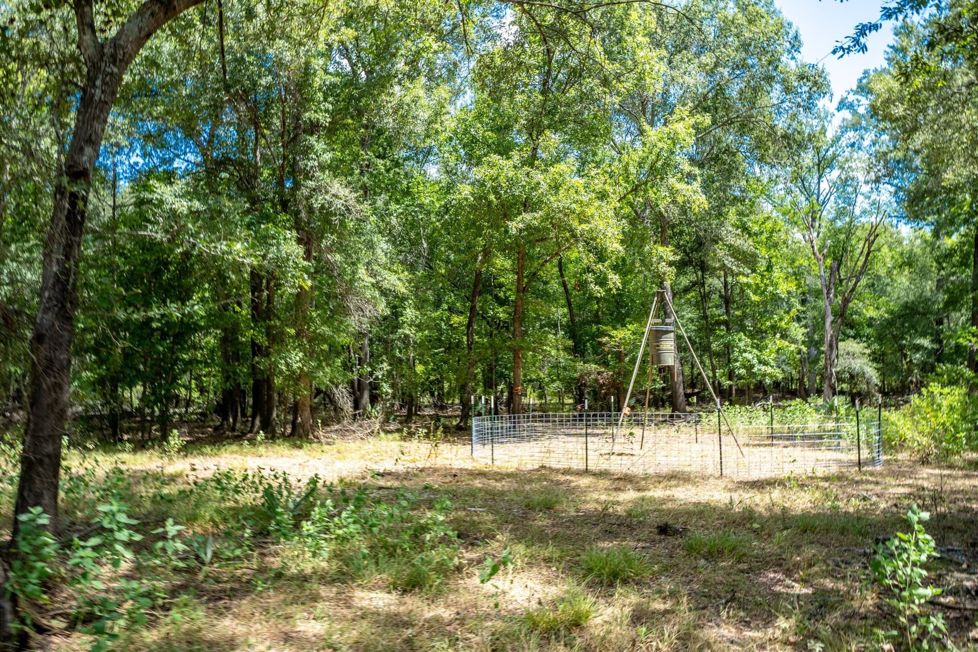 146.5 acres in Leon County - photo 35