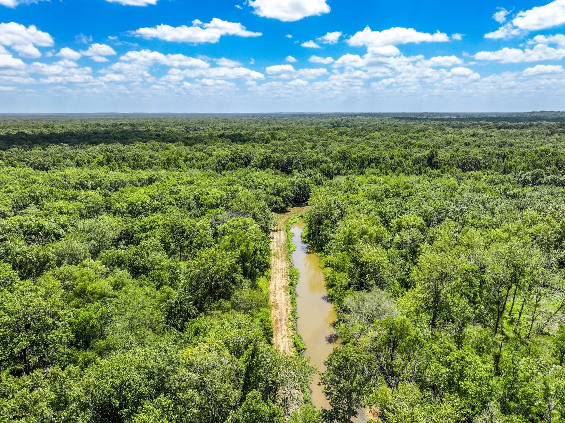 146.5 acres in Leon County - photo 3