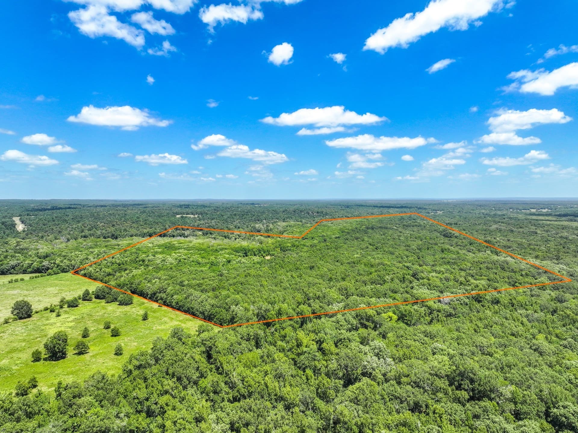 146.5 acres in Leon County - photo 18