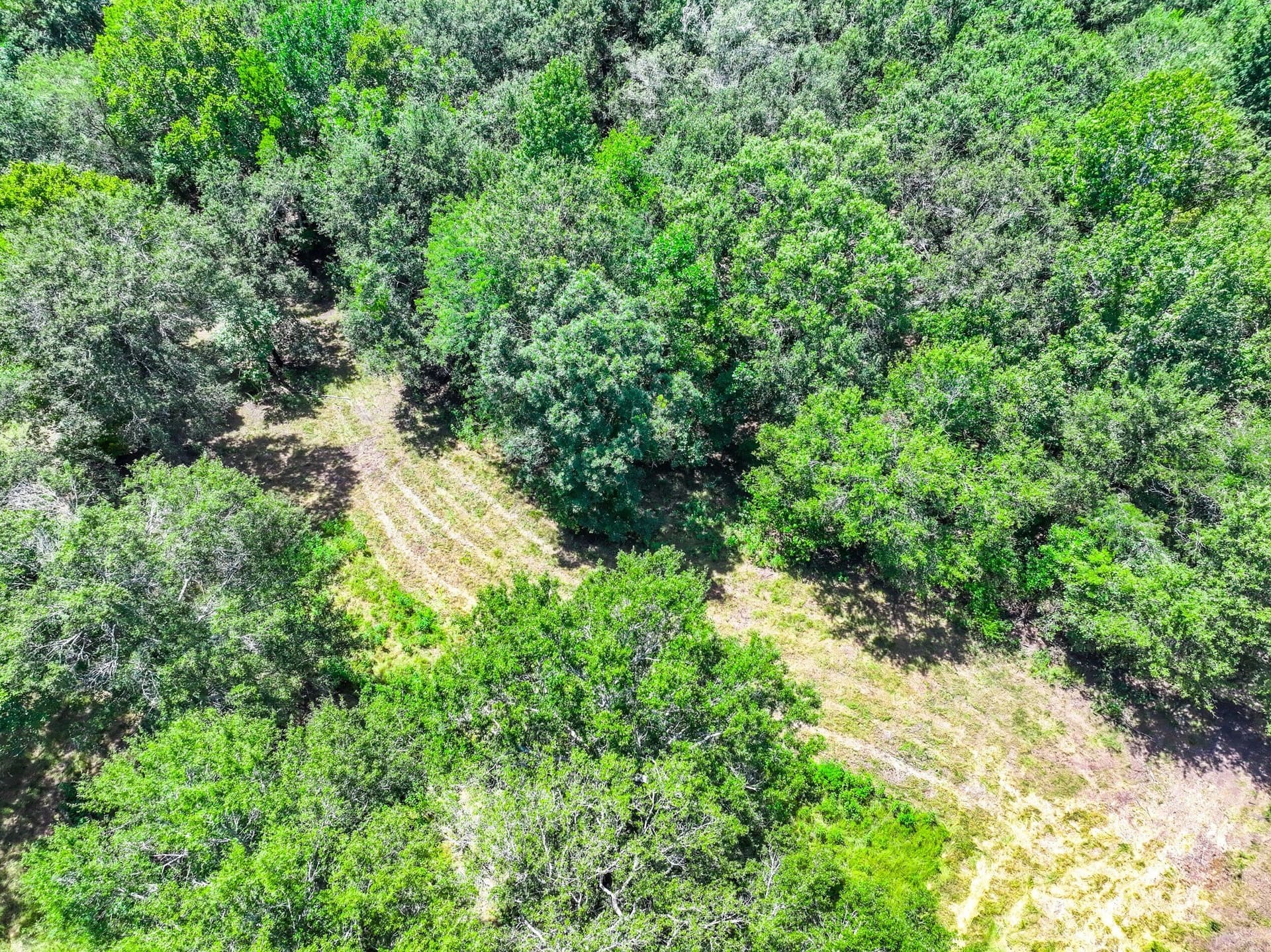 146.5 acres in Leon County - photo 32