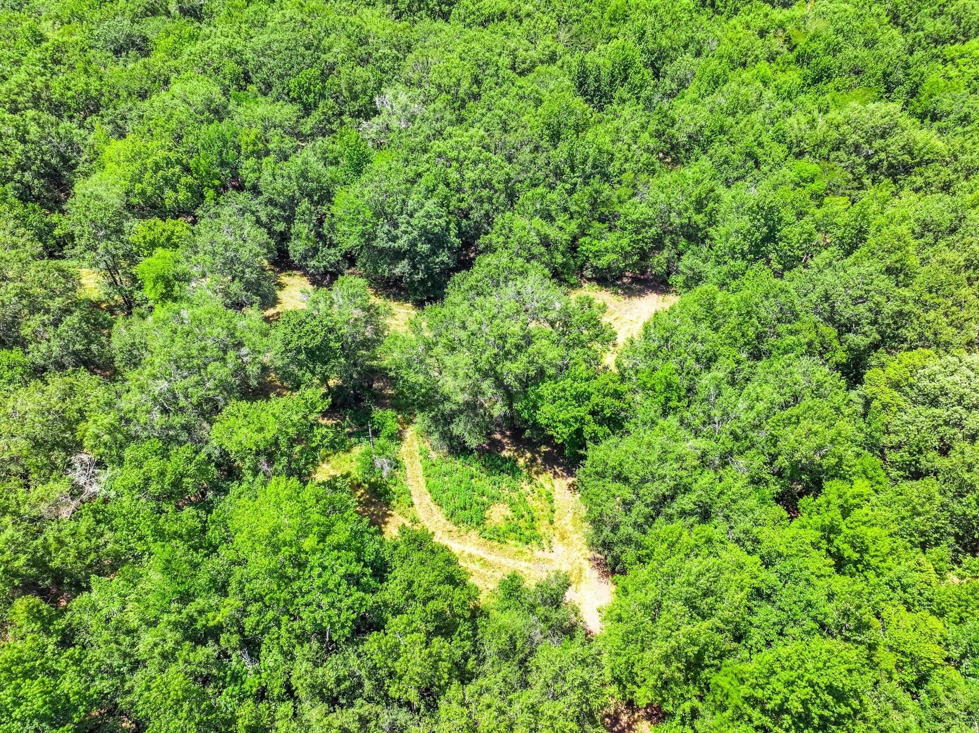 146.5 acres in Leon County - photo 33