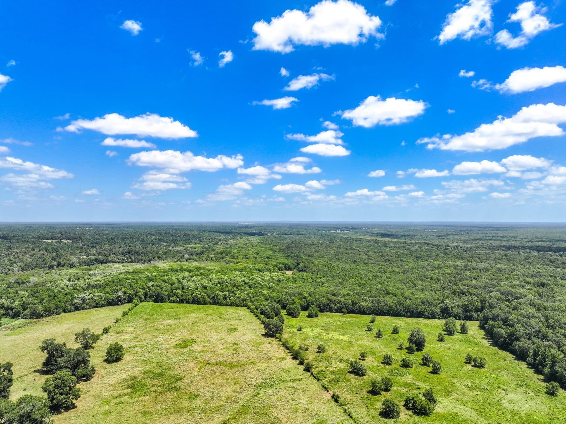 146.5 acres in Leon County - photo 37