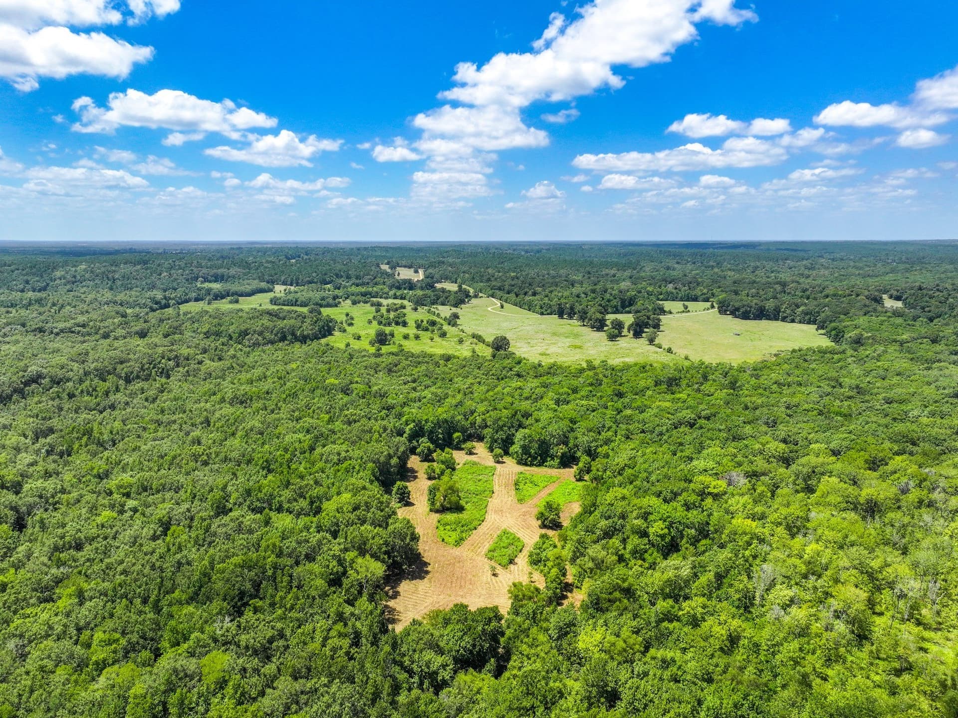 146.5 acres in Leon County - photo 16