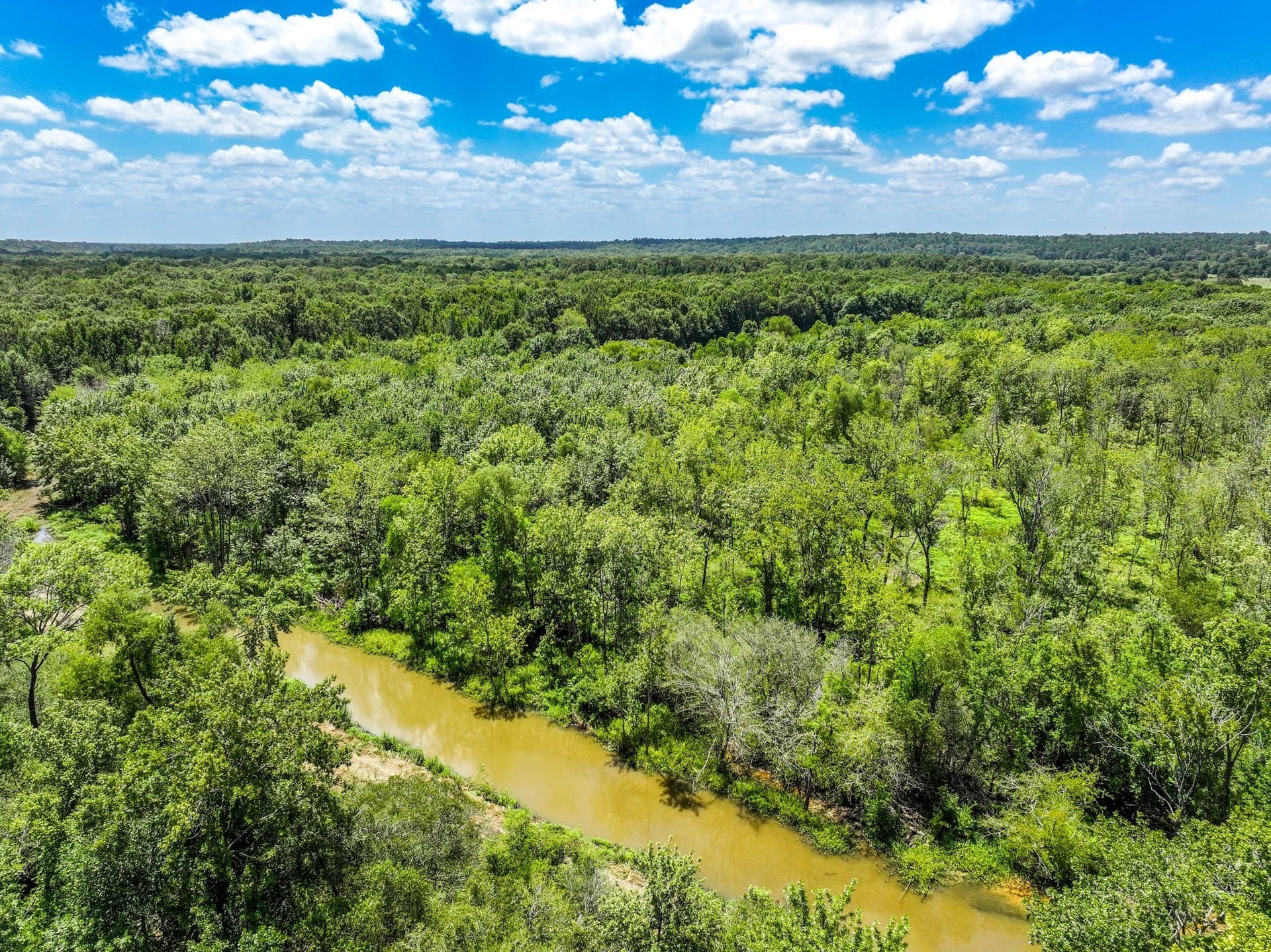 146.5 acres in Leon County - photo 14