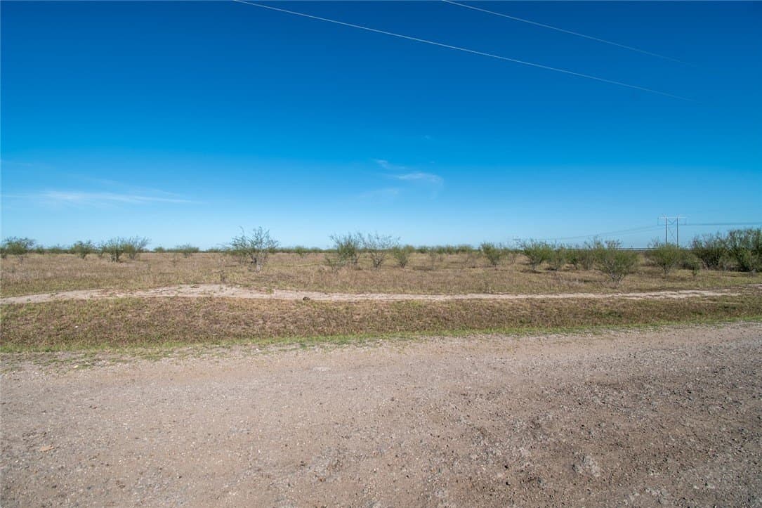 10.1 acres in Nueces County gallery image 3