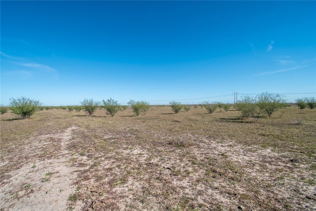 10.1 acres in Nueces County featured view