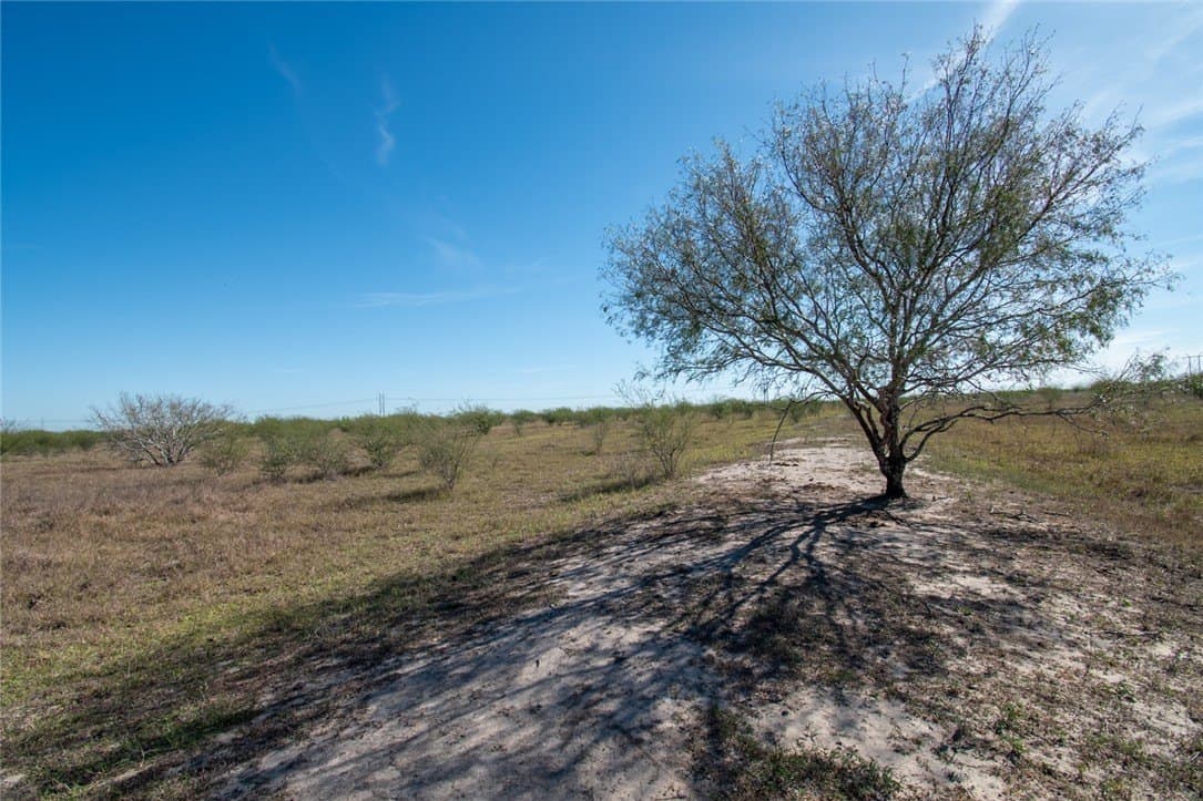 10.1 acres in Nueces County gallery image 4