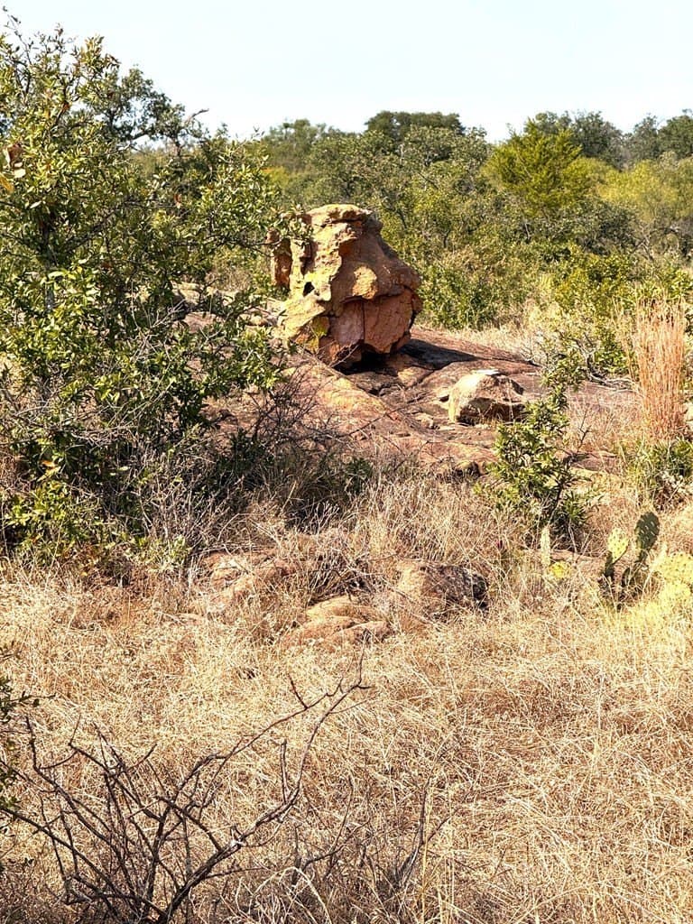 280 acres in Llano County - photo 24