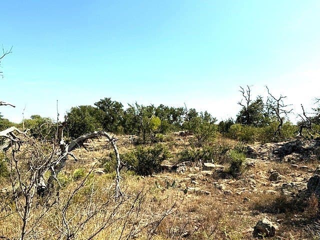 280 acres in Llano County - photo 11