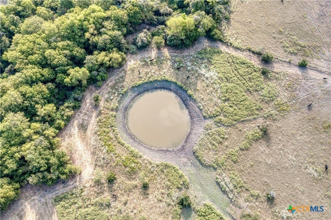 10.02 acres in Bell County gallery image 3