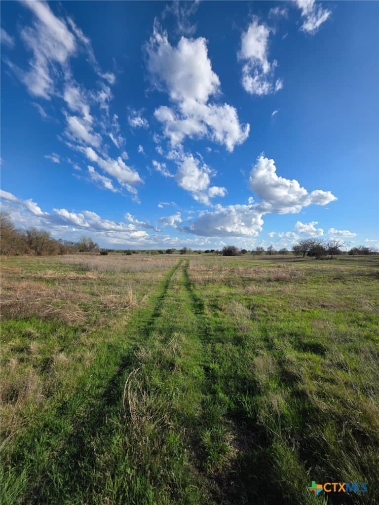 10.02 acres in Bell County featured view