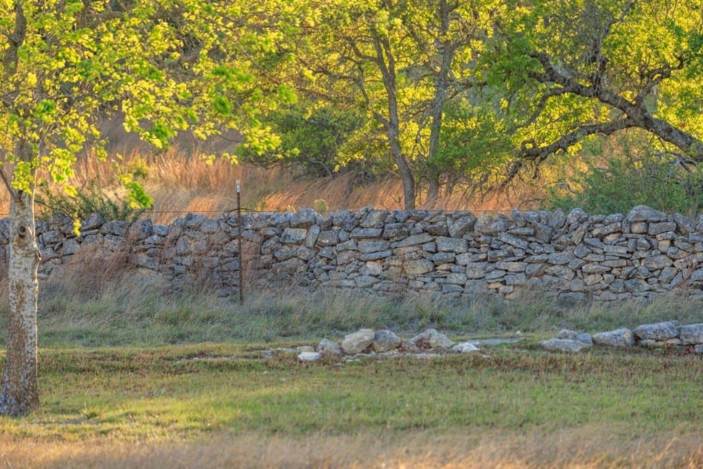 41 acres in Gillespie County - photo 8