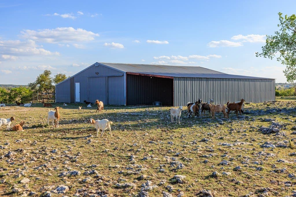 41 acres in Gillespie County - photo 22