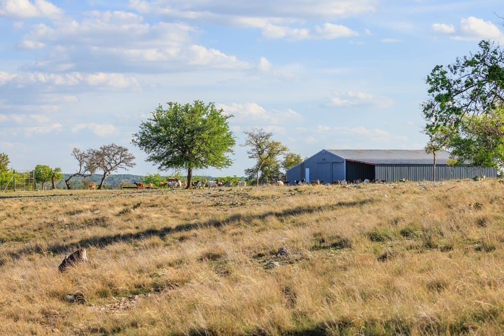 41 acres in Gillespie County - photo 21