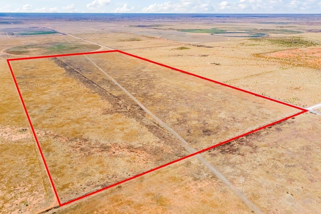 320 acres in Gaines County gallery image 2