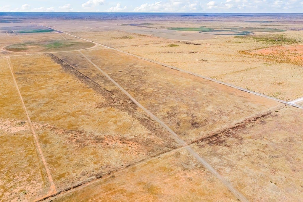 320 acres in Gaines County gallery image 3