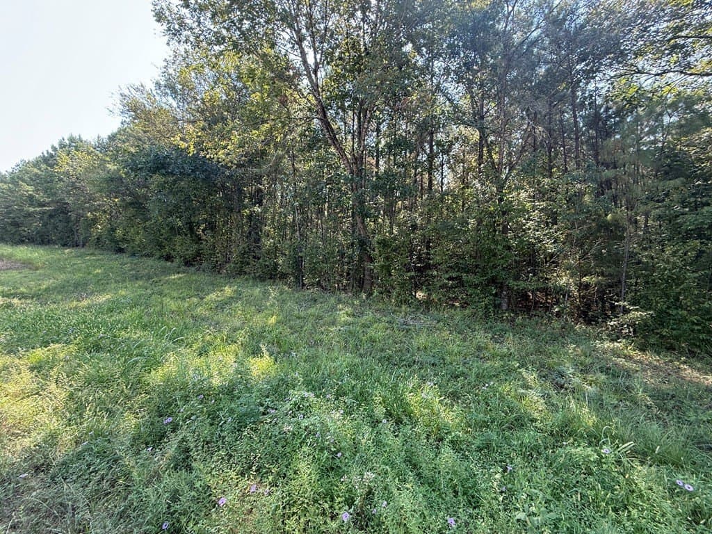 22.75 acres in Texas County gallery image 2