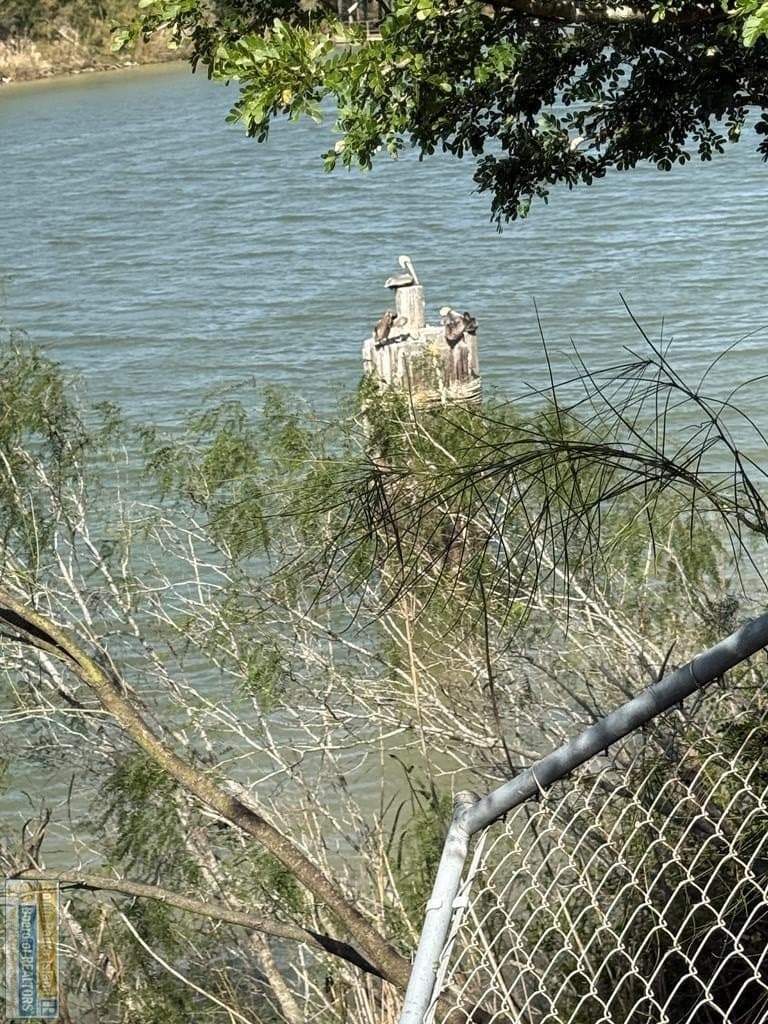 0 acres in Cameron County gallery image 3