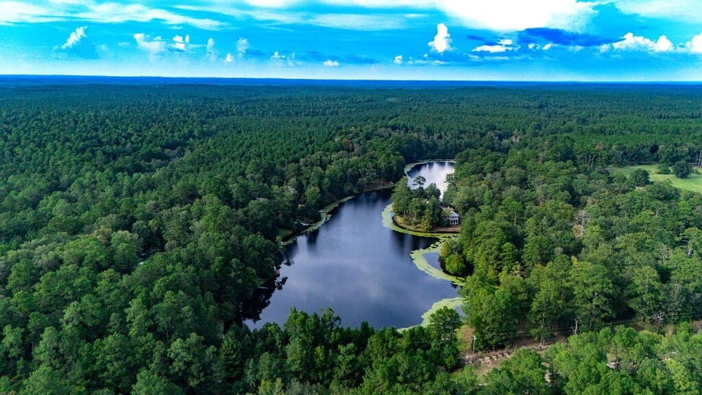 26 acres in Texas County - photo 46