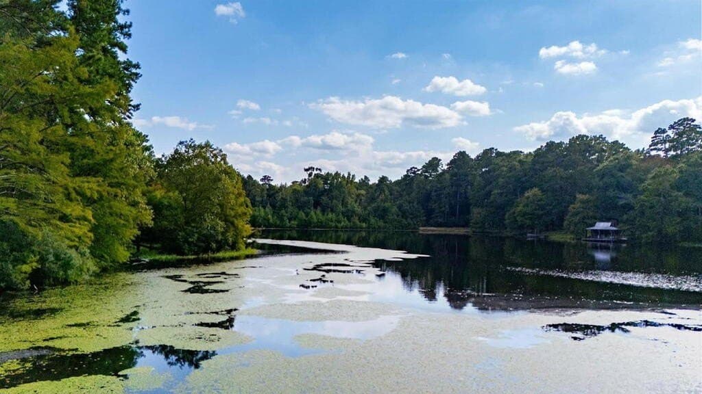 26 acres in Texas County - photo 20