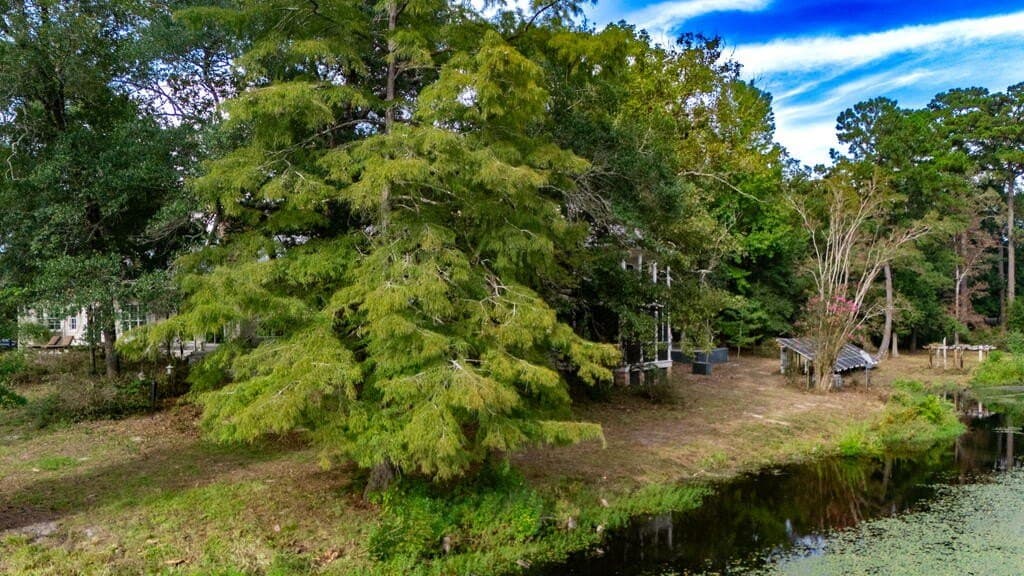 26 acres in Texas County - photo 22